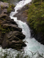 Puerto Blest con Cascada “Los Cantaros” Sin Transporte - Imagen 3
