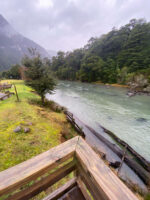 Puerto Blest con Cascada “Los Cantaros” Sin Transporte - Imagen 4