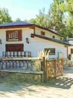Cabalgata con vista al Cerro López – Naturaleza, tradición y vistas únicas de Bariloche - Imagen 5