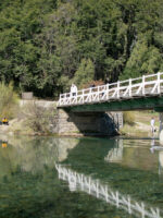 Cerro Tronador y Ventisquero Negro: recorrido integral por el corazón de la Patagonia - Imagen 3