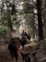 Cabalgata Cerro López – La Experiencia Más Completa del Circuito Chico - Imagen 2