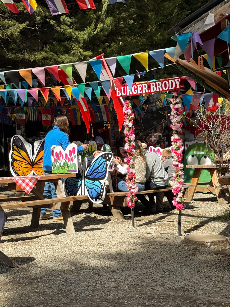 Traslado Colonia Suiza Bariloche: tradición, naturaleza y sabor - Imagen 5