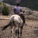 Cabalgata Día Completo – Experiencia Prolongada a Caballo