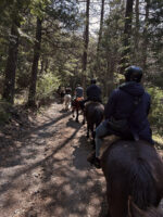 Cabalgata Senderos Patagónicos – Recorrido Natural de 3 Horas - Image 3
