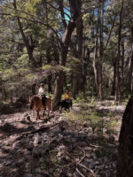 Cabalgata Senderos Patagónicos – Recorrido Natural de 3 Horas - Image 5